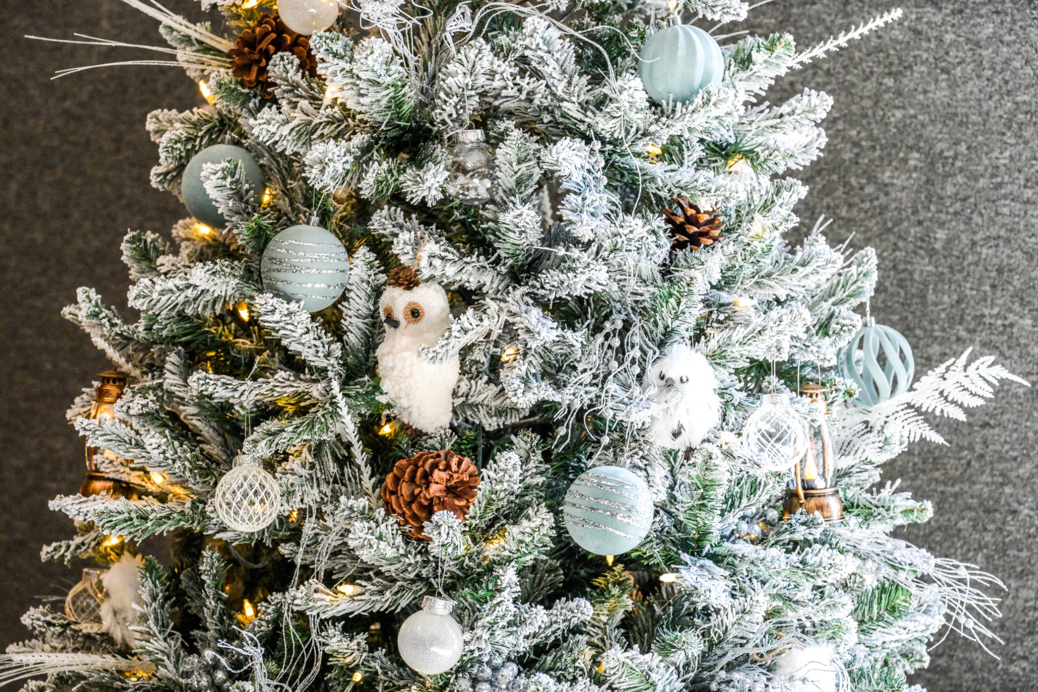 Winter woodland tree detail with snowy branches